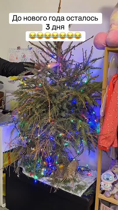 Новый тренд в соцсетях, каждый день кто-то показывает свою лысеющую елку