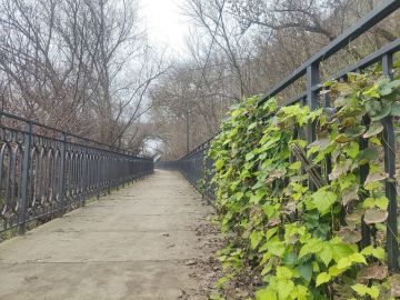 29 ������� ��������� ��������, ���� � ������������ ������