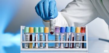 ������������������ ��������: