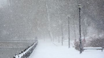 Снежный коллапс в Крыму – за ночь на полуострове выпала месячная норма осадков