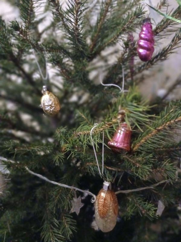 ������, ���� - ������ ������ !