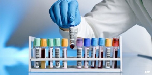 ������������������ ��������: