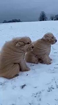 ������� ������ ����� � ������������� ���� ����� ��������� 20 �/�, �������� ��������������� �������������