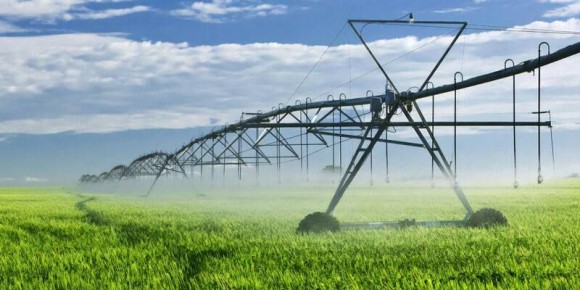 ������������� ������� ��������� ������ �� 2026 ���