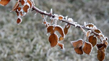 31 декабря ожидается облачная погода с прояснениями