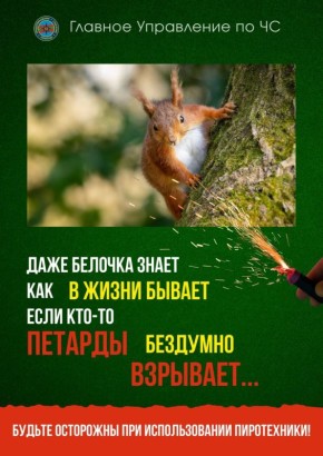 С юмором о безопасности. ГУпЧС напоминает: не запускайте пиротехнику в алкогольном опьянении – это неизбежно приведёт к БЕДЕ; не запускайте фейерверки в помещении! фейерверки и петарды нельзя бросать в огонь; не направляйте...
