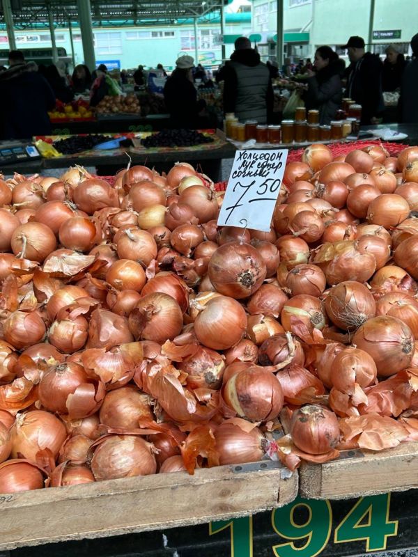 ��������������� ���� �� ������� �����