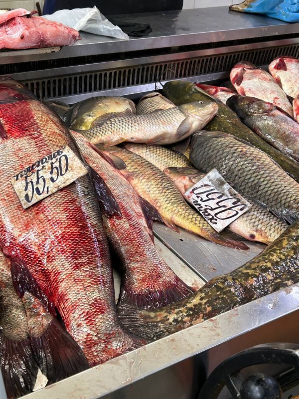 ��������������� ���� �� ������� �����