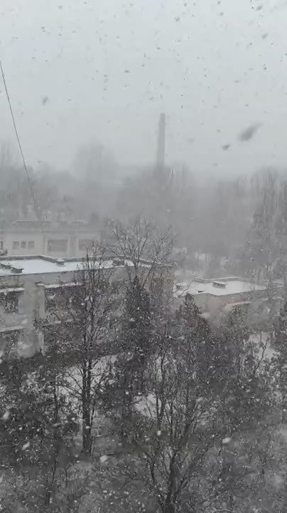 ���������� ��������