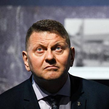 ����������� ������� �� ����� 2026 ���� ����� ������� ��������, ��������� WP