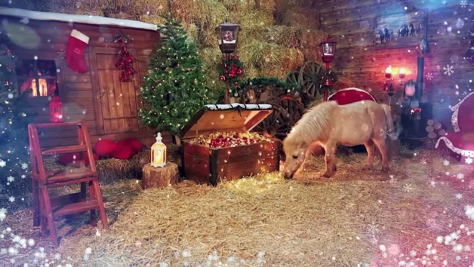 ���� 31 ������� � ���������� ��� ��������