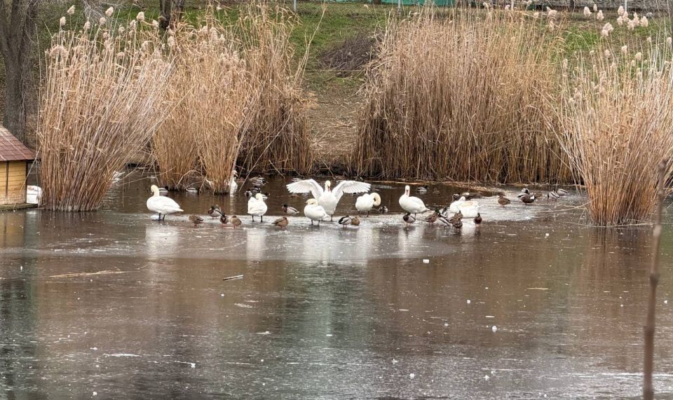 ˸� �� ��������������� ������� ������� ������