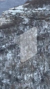 ������ ����� �� �������� �� ��������� �������