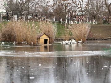 Лёд на приднестровских водоёмах слишком тонкий