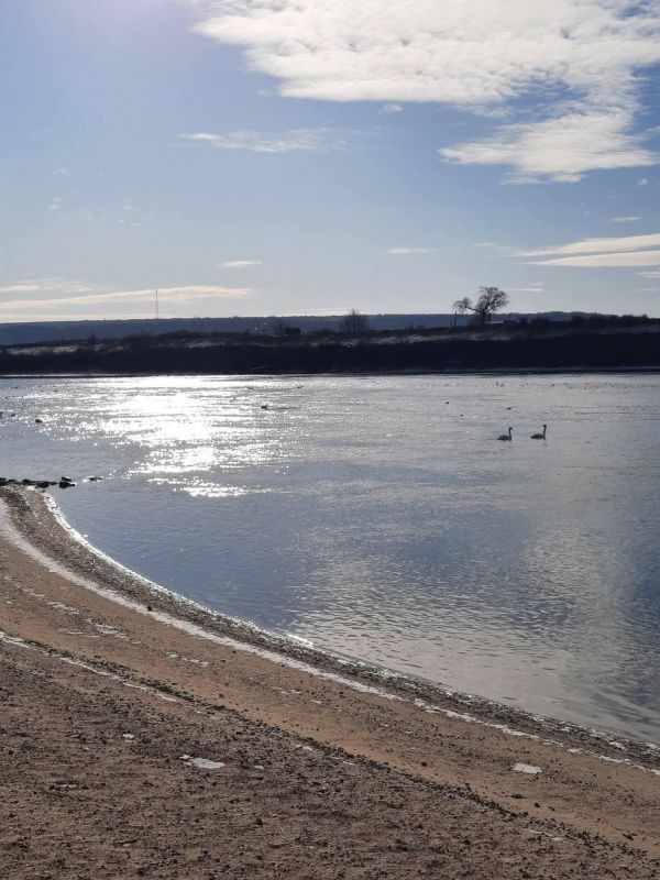 ������������ � ����������� ��� �������� �� ������� � ����������