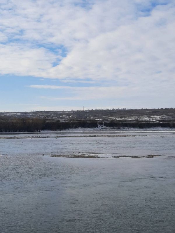 ������������ � ����������� ��� �������� �� ������� � ����������