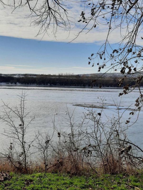 ������������ � ����������� ��� �������� �� ������� � ����������