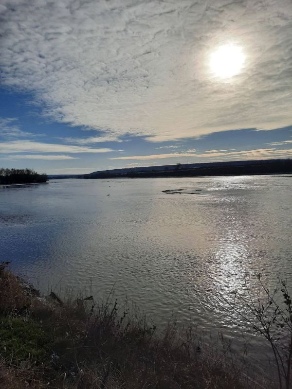 ������������ � ����������� ��� �������� �� ������� � ����������