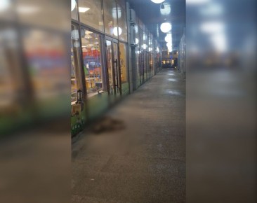 � ��������� ��������� ���������� - ��, ��� ���������� ������ �����