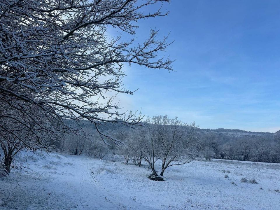 ����������� ������� � ���������� ������� �������