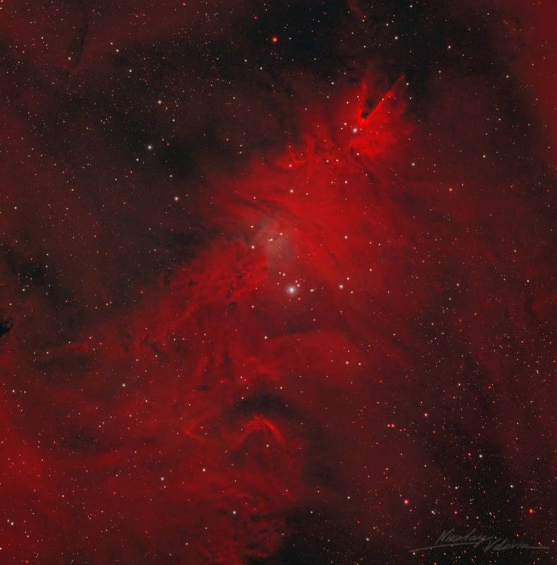 ��������������� ���� �� ����������