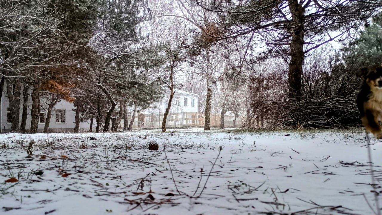 Снежное настроение в Дубоссарах Снежное настроение в Дубоссарах