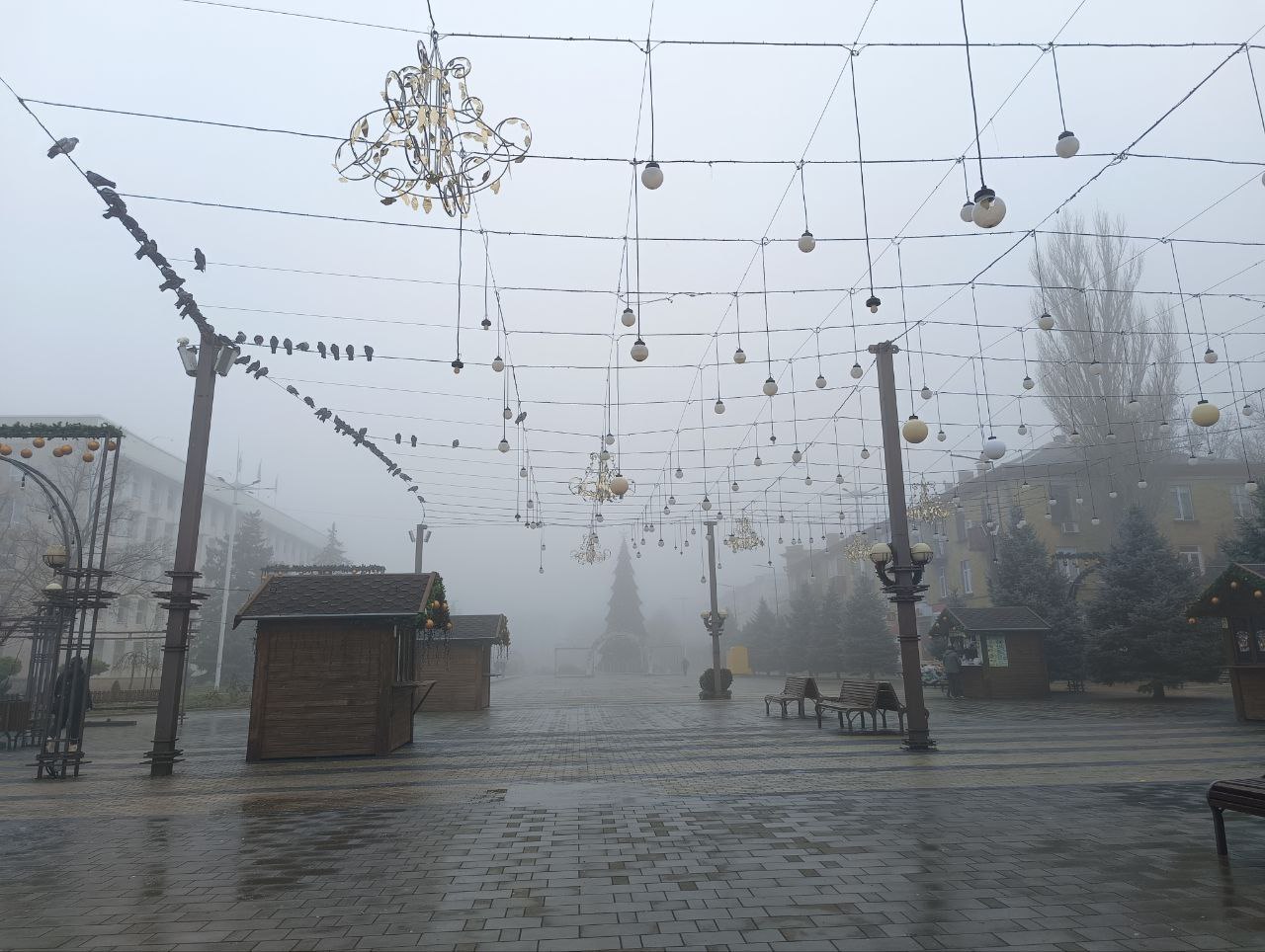 Осторожно: туман и гололедица!