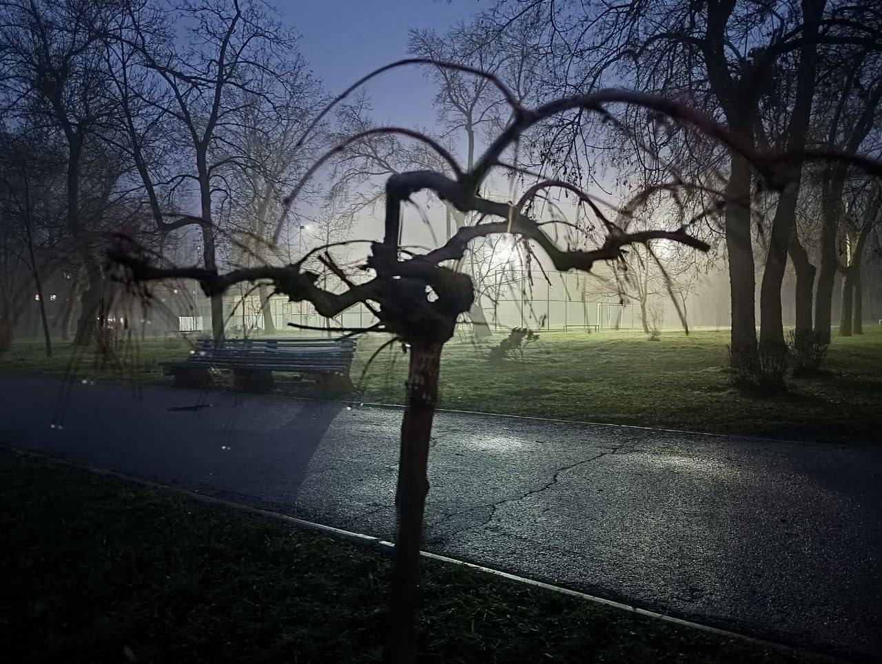 Серо и сыро. Туман окутал город на целый день Серо и сыро. Туман окутал город на целый день