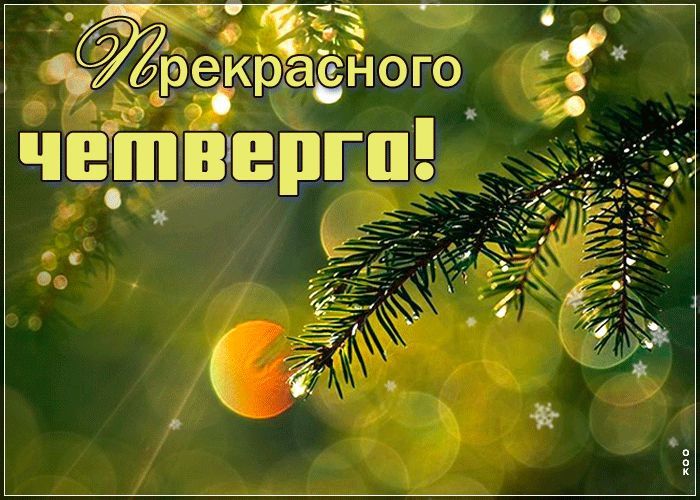 8 января - отличный повод улыбнуться, пересмотреть любимый мультфильм, поблагодарить маму и подумать о том, как здорово, что наша планета продолжает вращаться!
