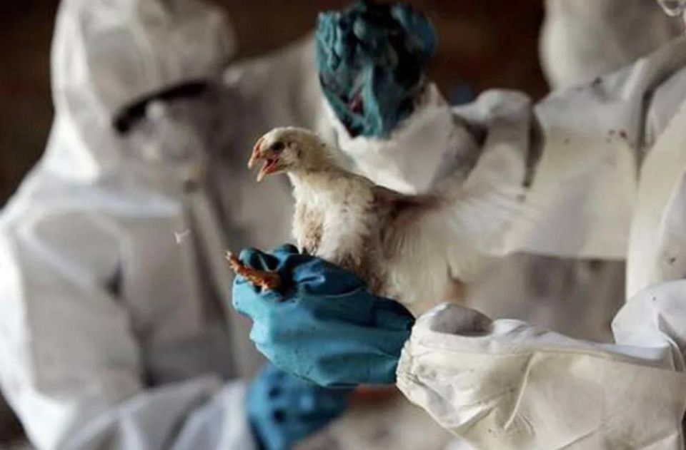 � ������� ���������� 110 ����� ���� ��-�� �������� ��������