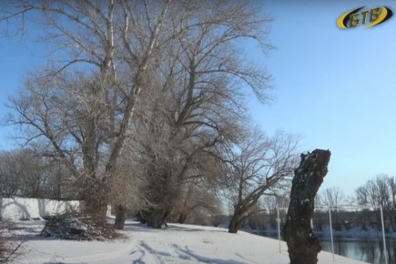 10 ������ ��������� �������� � ������������ ������, ���� ������� ������ ����