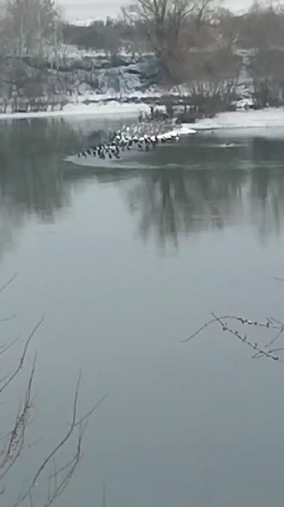 ����� �� �����������: �� ������� �������� ���� ���������? ��� ��-���� ��� ����?