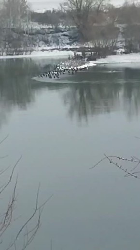 ����� �� �����������: �� ������� �������� ���� ���������? ��� ��-���� ��� ����?