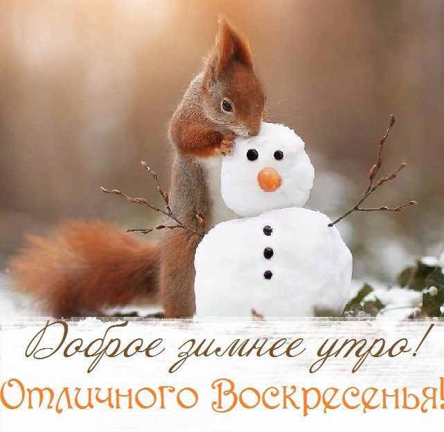 11 ������ ����������, ��� ������ ���� ����� ���� ���������, �����, ��� ������ ������� ���������