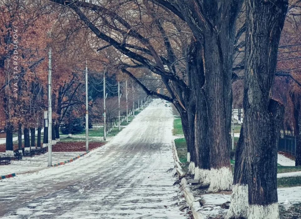 ����� ��� ������� ������: ����� ������ ��������