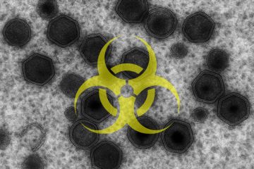 ��������� ����������� ���� ������ � �������� ������� ���������� �����������