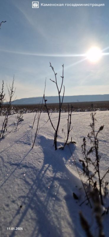 ������ ������� ���������� ������