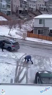 ���������� ����� � ������ �� �������� ��������������