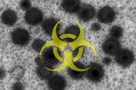 ��������� ����������� ���� ������ � �������� ������� ���������� �����������