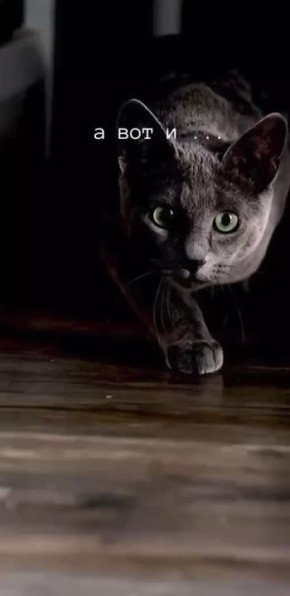 �� ��� ������, ��������� �����������