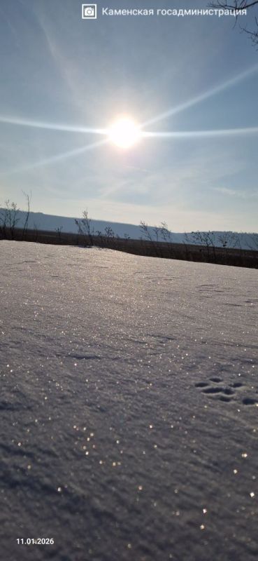 ����� ������������� ������ ����������� ��������, ��������� � �����������