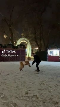 ������� ����� �����, ��� �� ������� �������