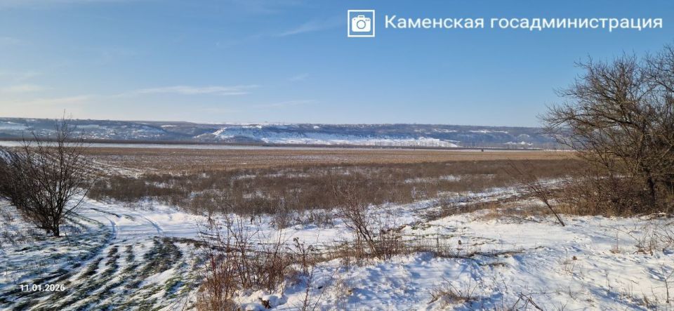 ����� ������������� ������ ����������� ��������, ��������� � �����������