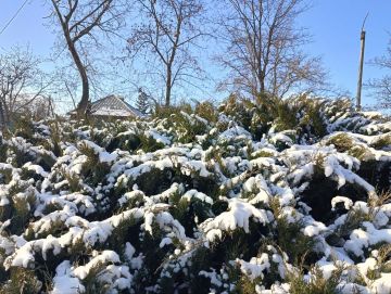 13 ������ ��������� ���������� ����������, ��� ������������ �������