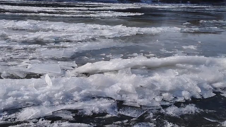 ������� �� ���� ������. ������� � ���������