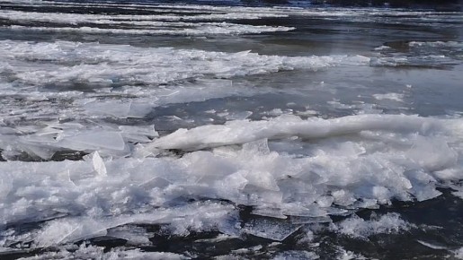 ������� �� ���� ������. ������� � ���������