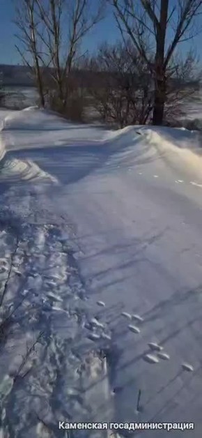 ������ ������� ���������� ������