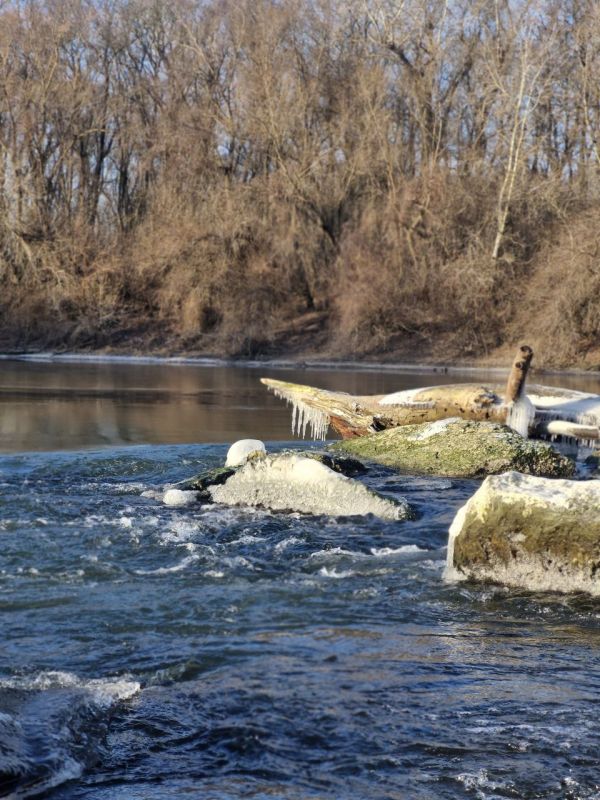 ���� �������� ������� �������� ��������� � �������� (������������� �����)