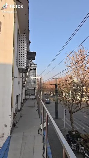 ���� �������������� ���� �����