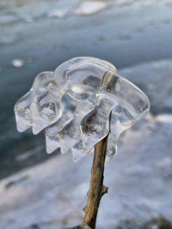 ���� �������� ������� �������� ��������� � �������� (������������� �����)